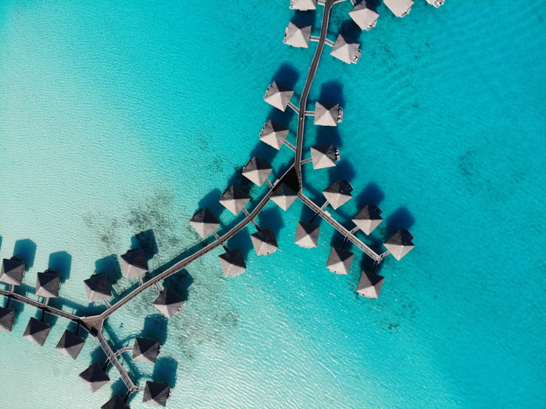 Eco-friendly resort with solar panels